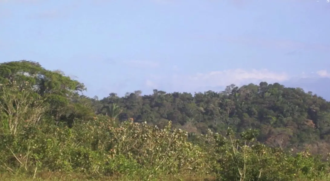 Lago Gatún - Photo 17