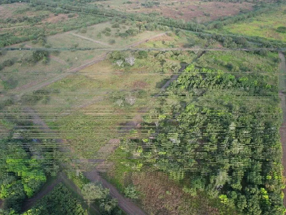 Buenaventura, El Chiru - Photo 8