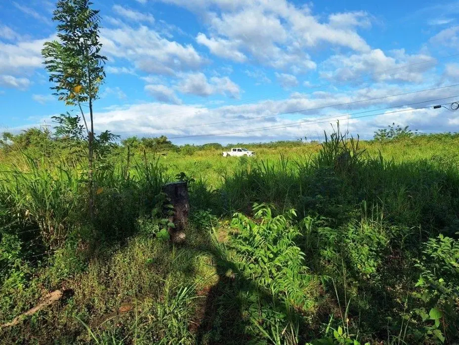 Buenaventura, El Chiru - Photo 33