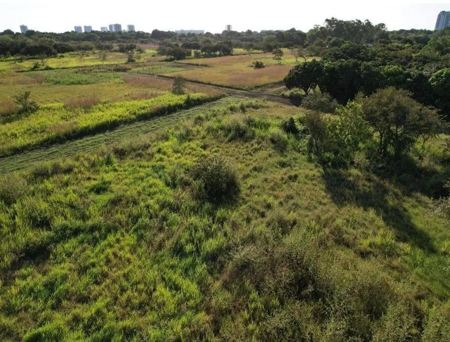 Buenaventura, El Chiru - Photo 16