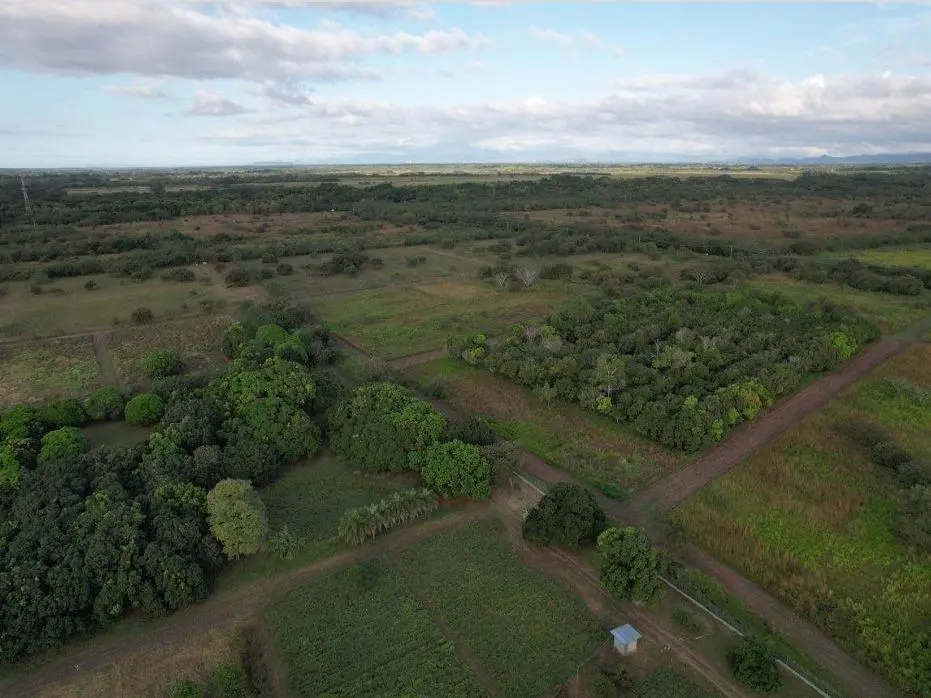 Buenaventura, El Chiru - Photo 35