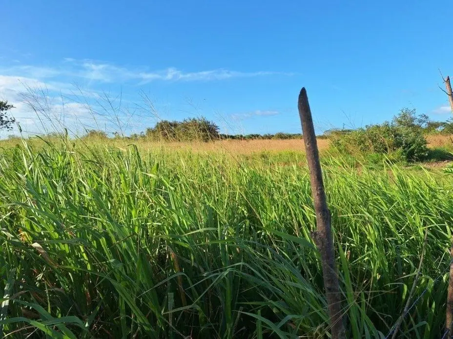 Buenaventura, El Chiru - Photo 51