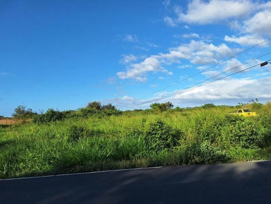 Buenaventura, El Chiru - Photo 44