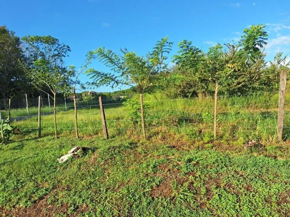 Buenaventura, El Chiru - Photo 54