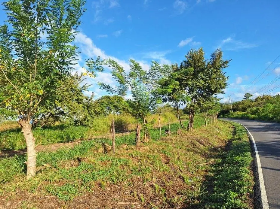 Buenaventura, El Chiru - Photo 56