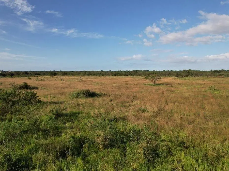 Buenaventura, El Chiru - Photo 10