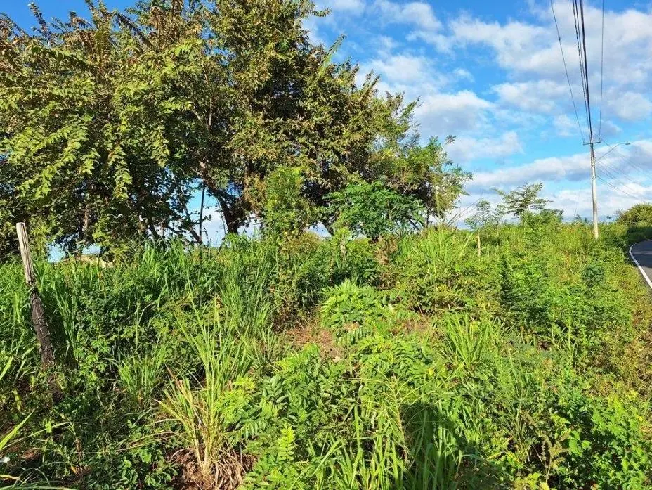 Buenaventura, El Chiru - Photo 59