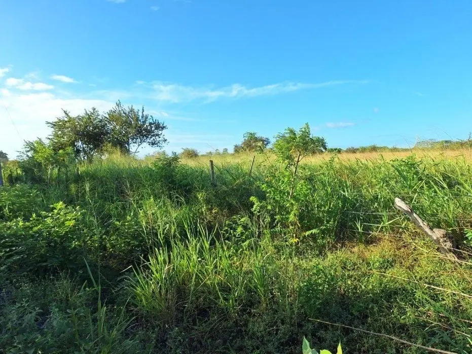Buenaventura, El Chiru - Photo 26