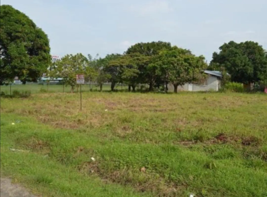 Coloncito, Gorgona - Photo 17