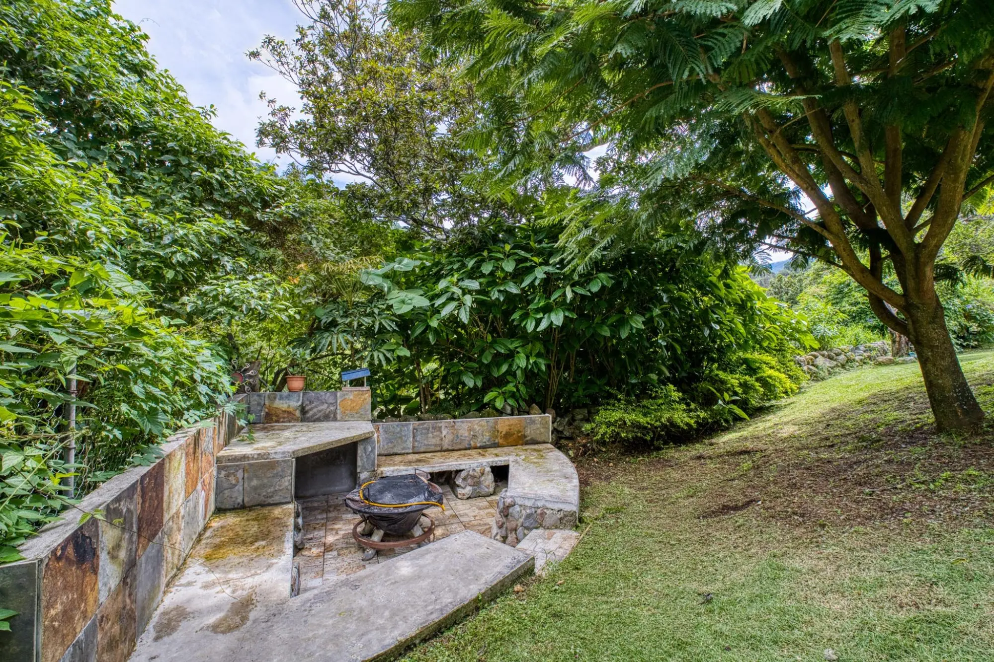 Calle Del Mariposario - Photo 26