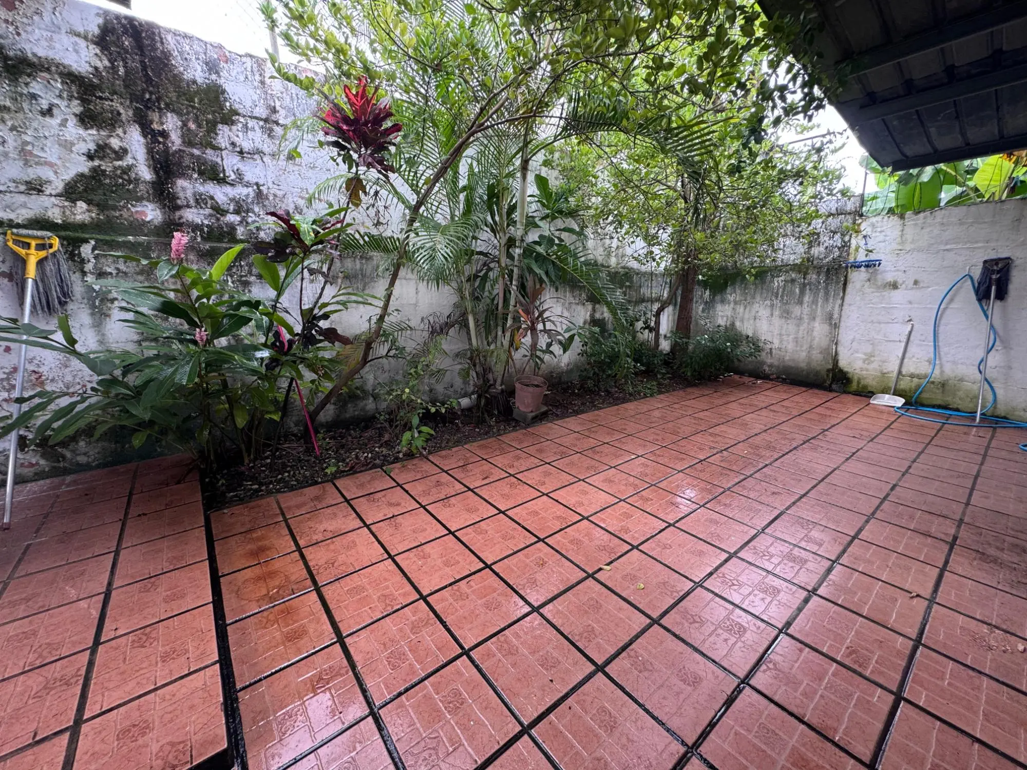 San Antonio #42f - Photo 54