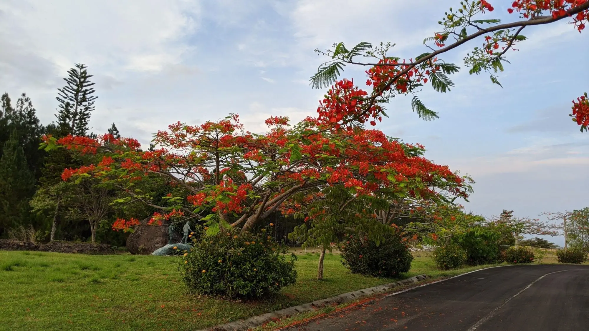 El Nancito, Chame - Photo 37