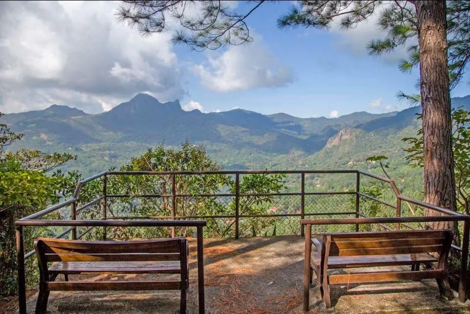 Altos Del María - El León - Photo 6