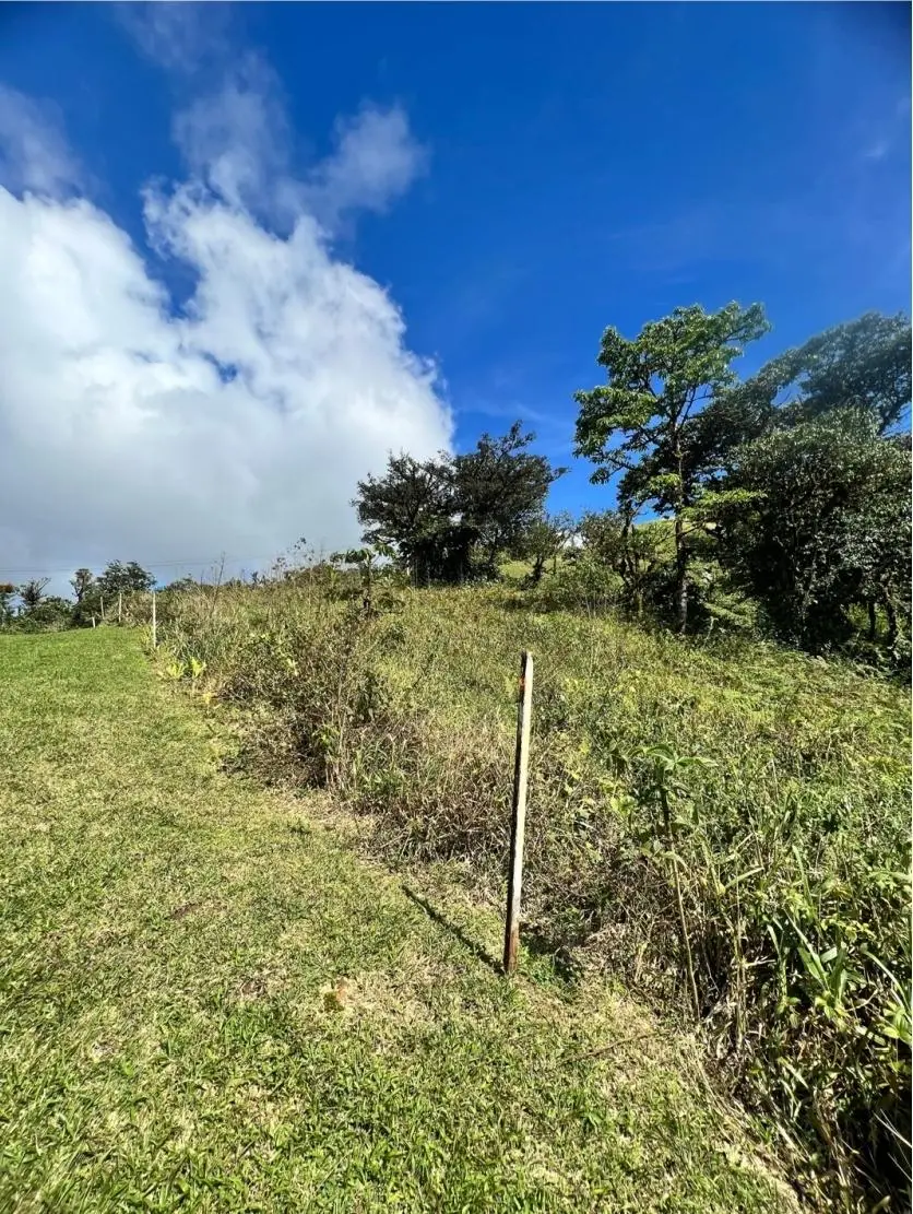 Altos Del María - El León - Photo 2