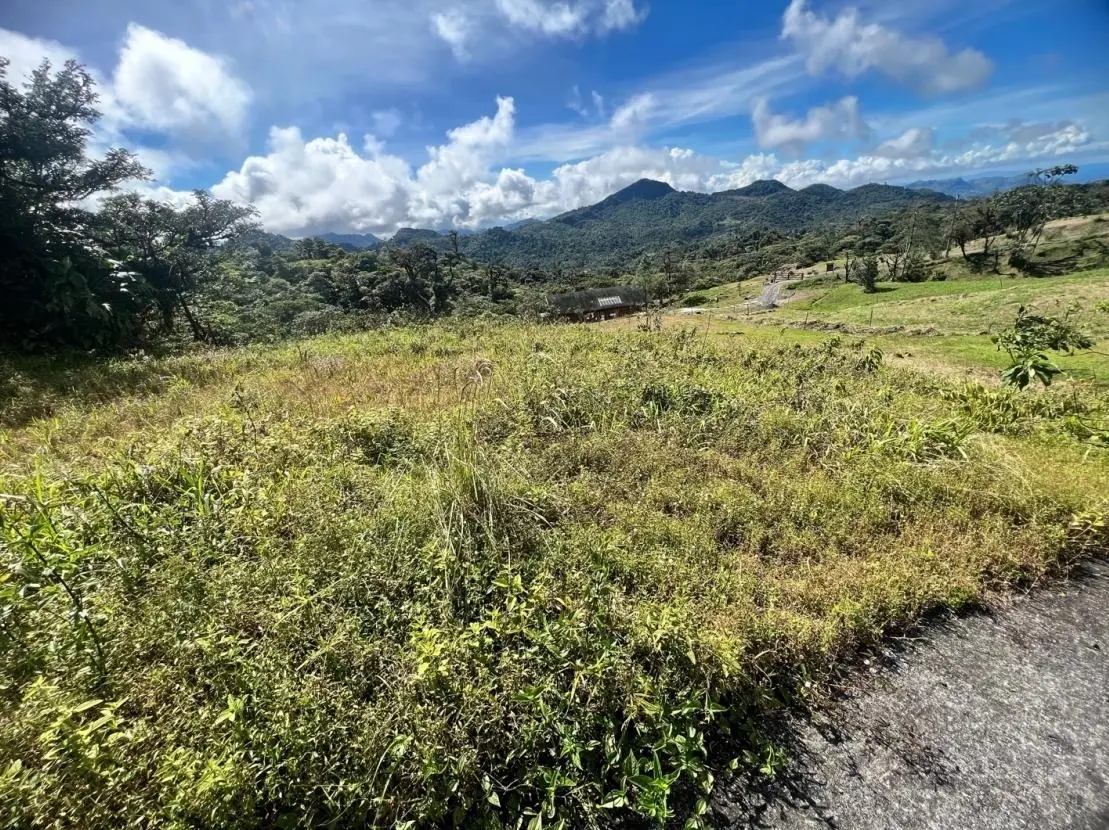 Altos Del María - El León - Photo 3