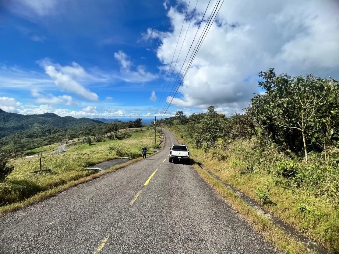 Altos Del María - El León - Photo 4