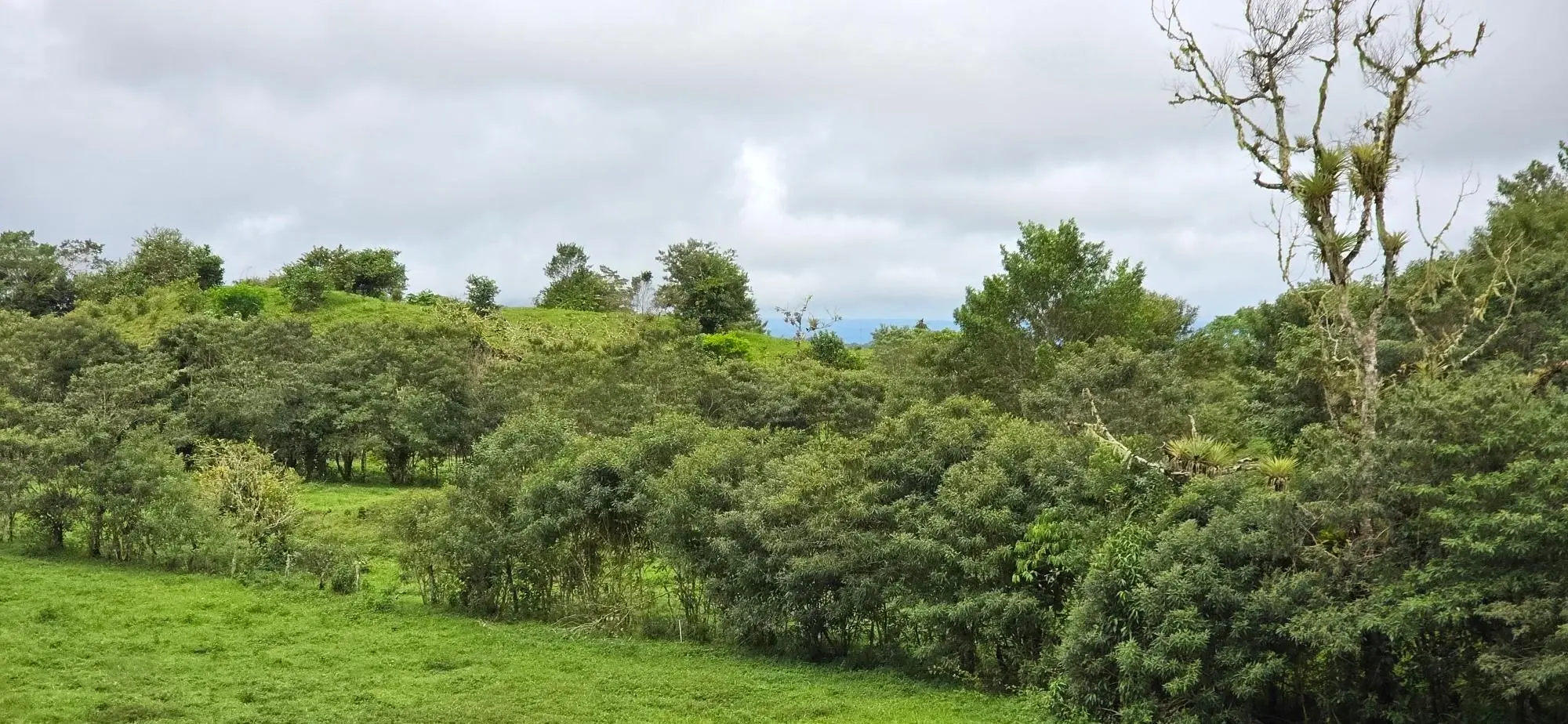 Boqueròn, Cordillera Arriba - Photo 62