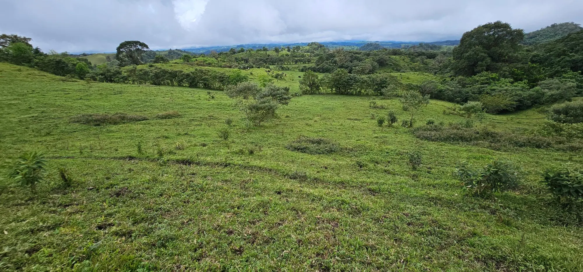 Boqueròn, Cordillera Arriba - Photo 3