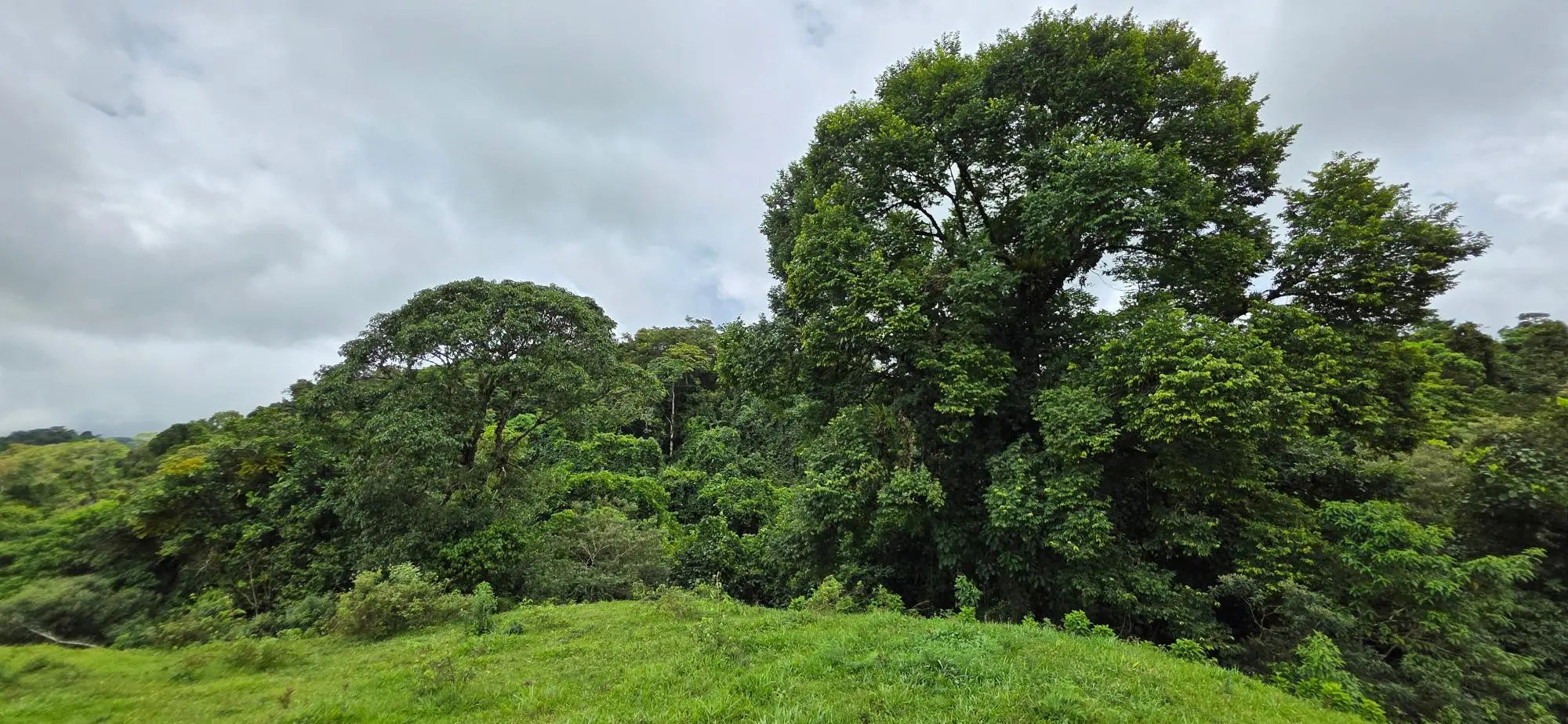 Boqueròn, Cordillera Arriba - Photo 58