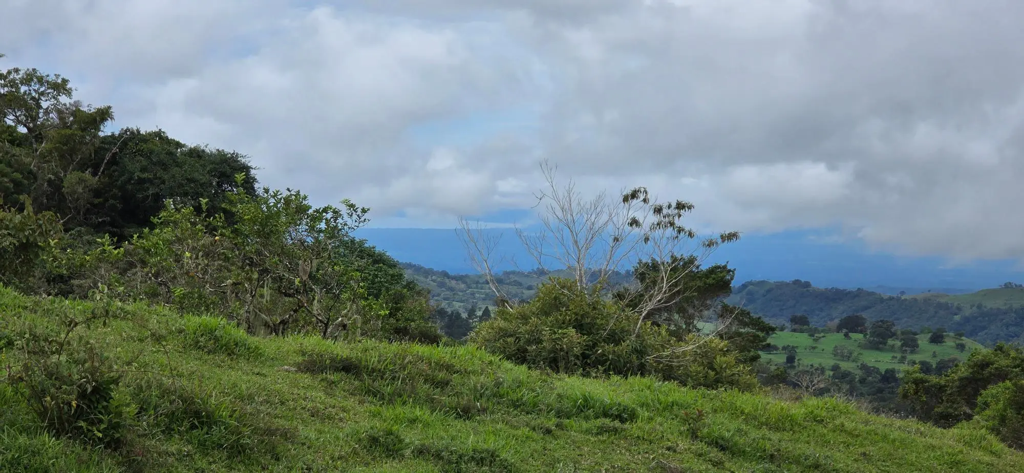 Boqueròn, Cordillera Arriba - Photo 16