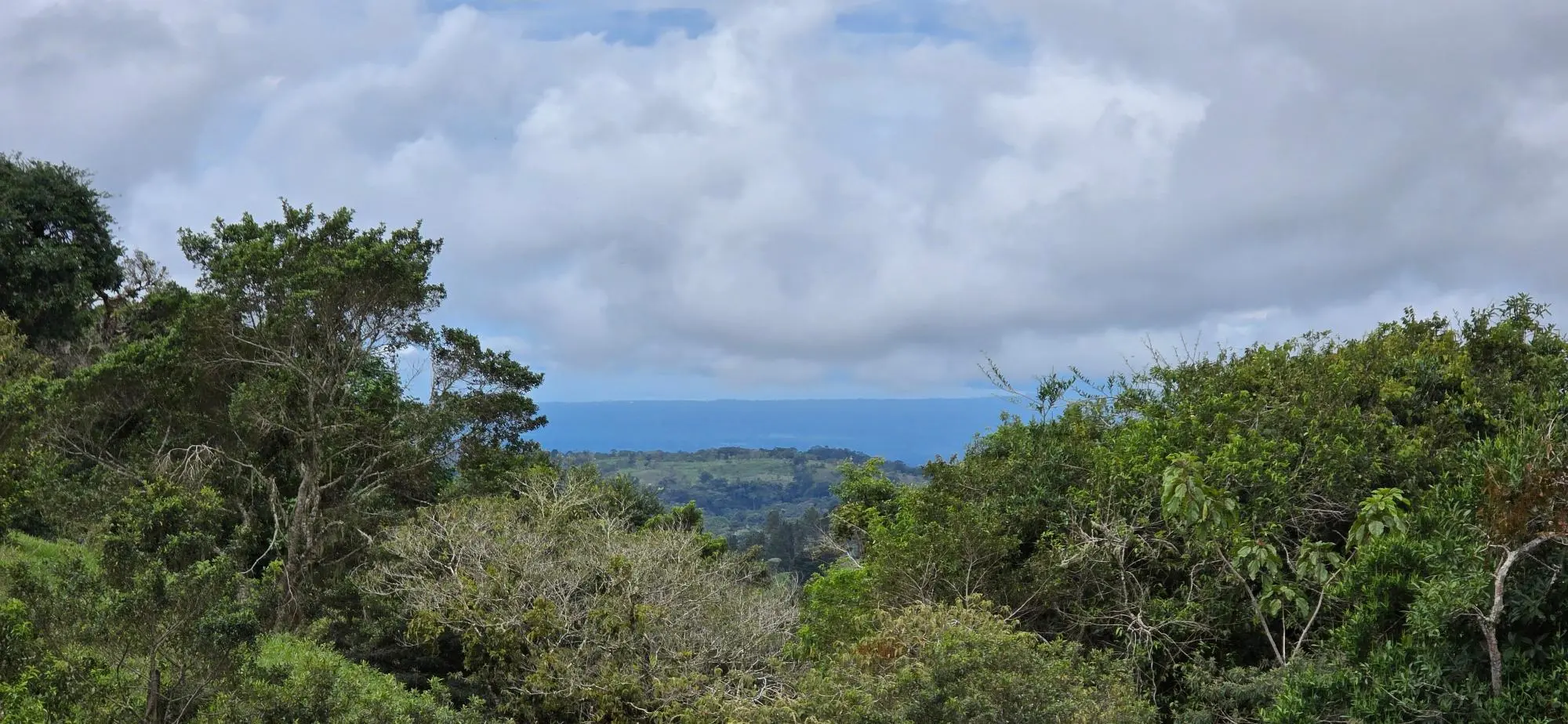 Boqueròn, Cordillera Arriba - Photo 20