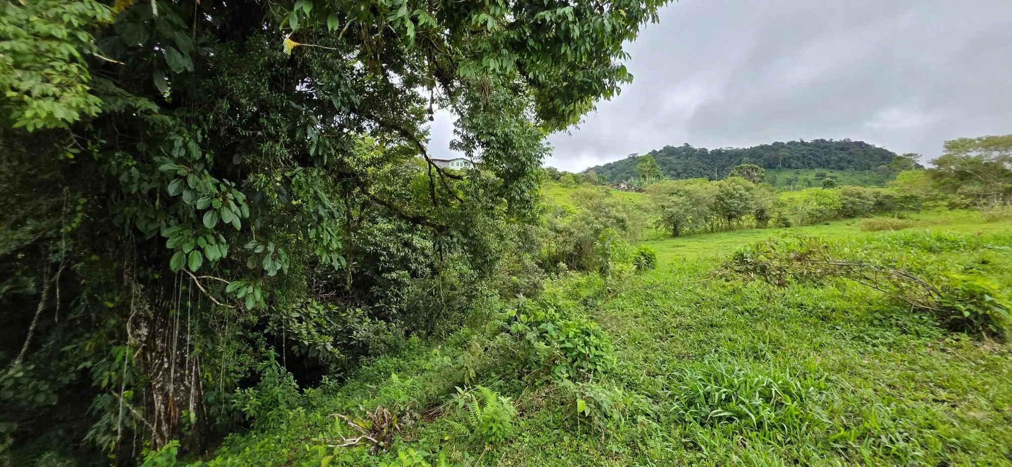 Boqueròn, Cordillera Arriba - Photo 57
