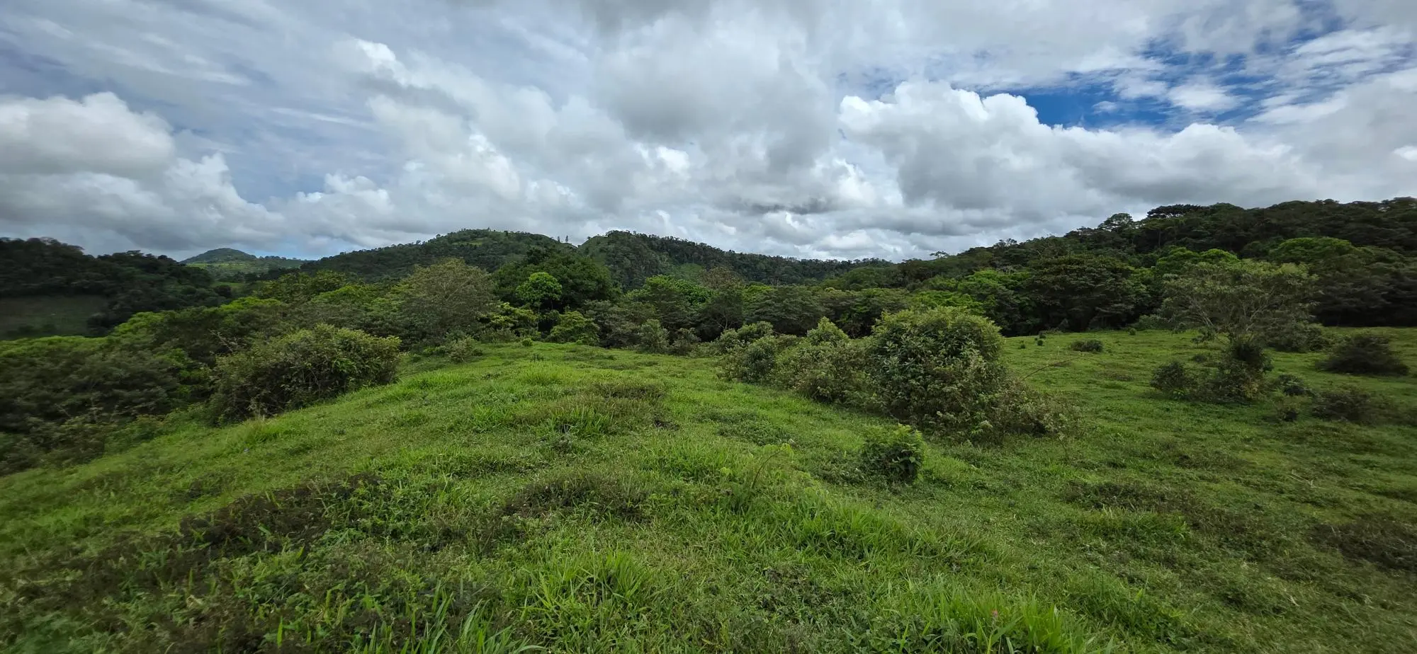 Boqueròn, Cordillera Arriba - Photo 11