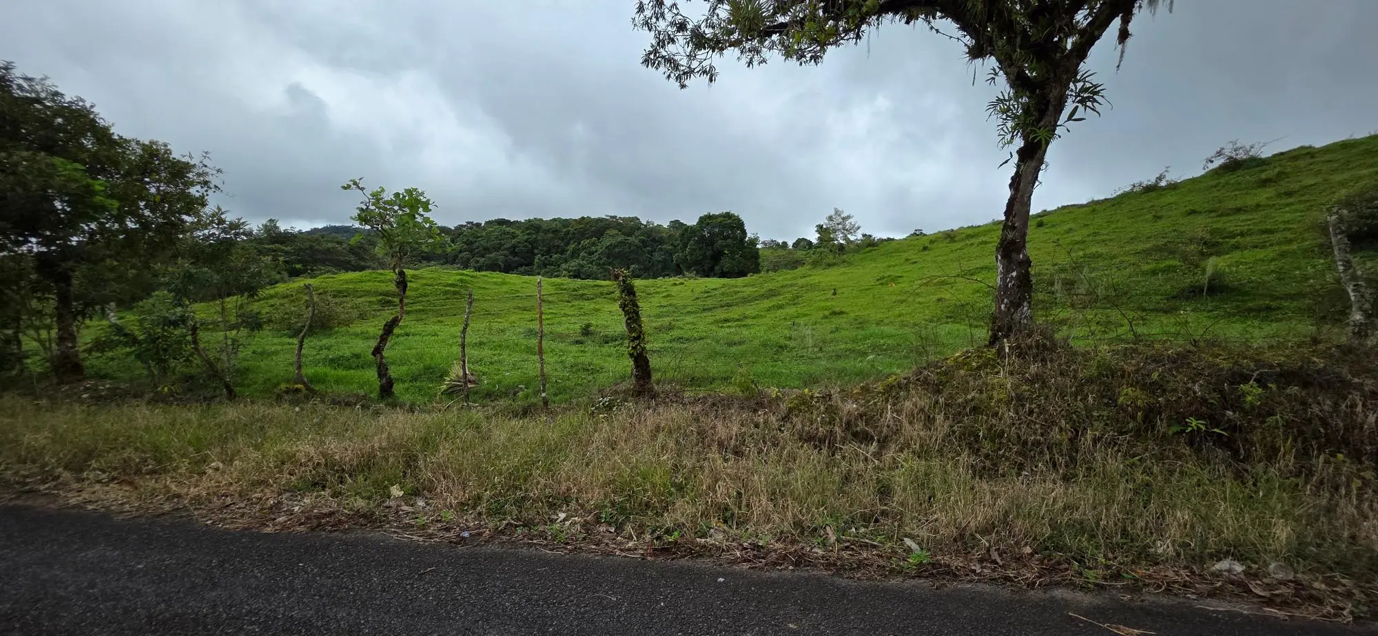 Boqueròn, Cordillera Arriba - Photo 71