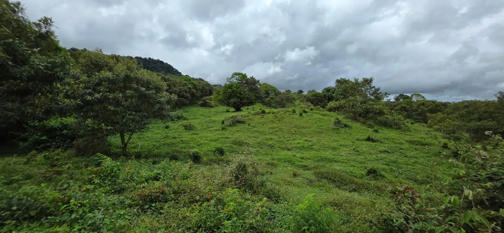 Boqueròn, Cordillera Arriba - Photo 45