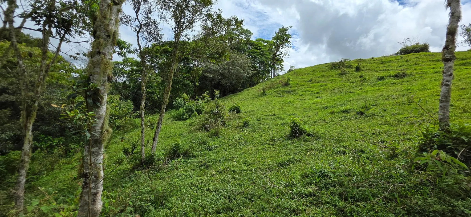 Boqueròn, Cordillera Arriba - Photo 38
