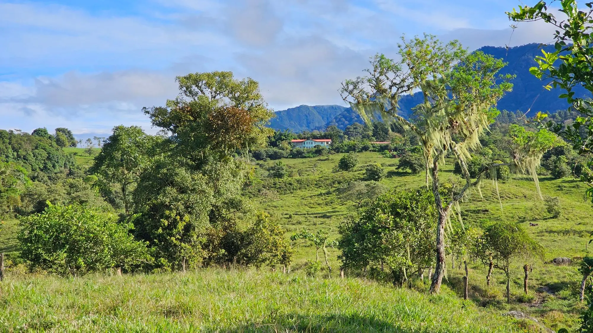 Boqueròn, Cordillera Arriba - Photo 8