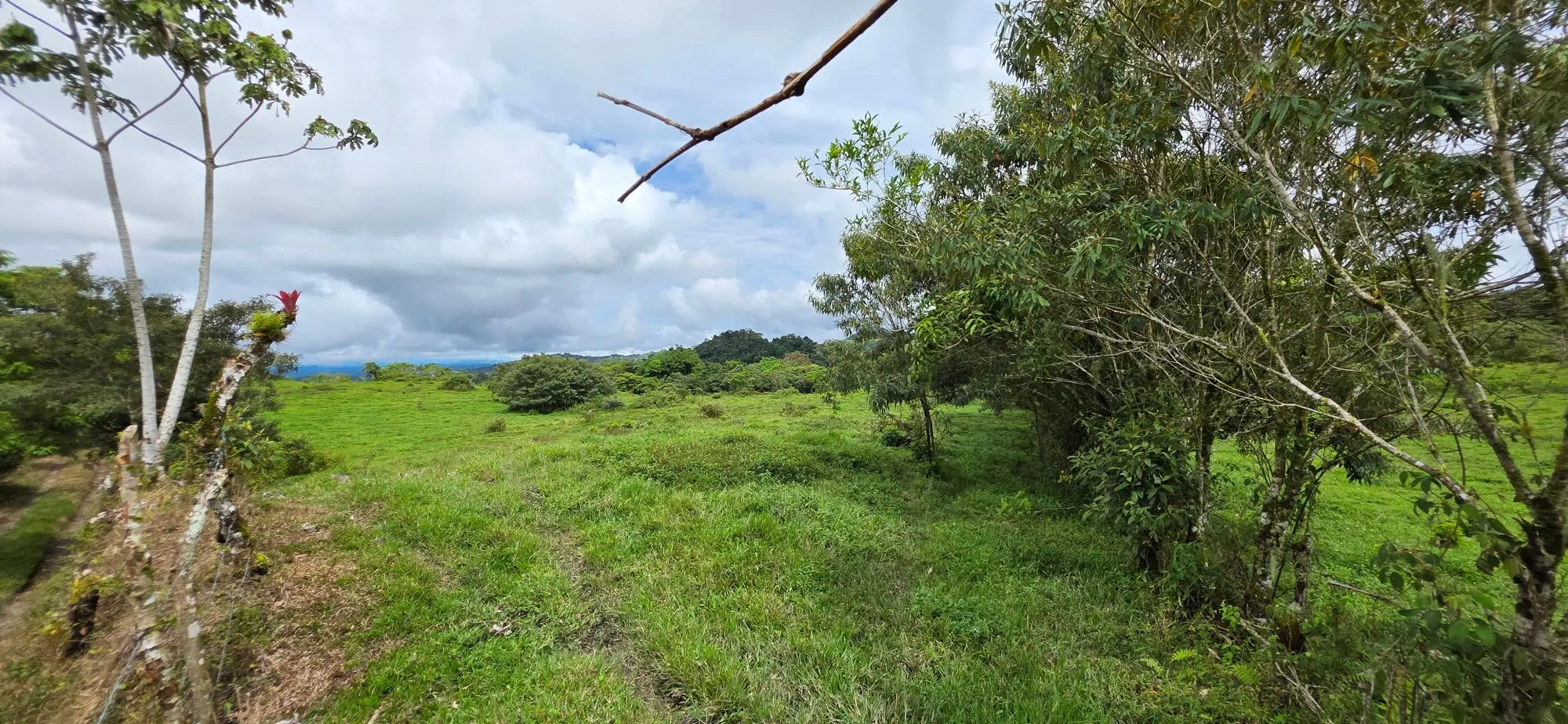 Boqueròn, Cordillera Arriba - Photo 33