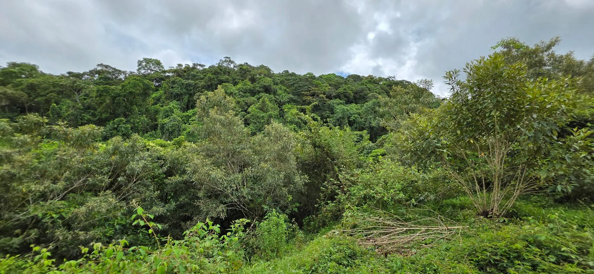 Boqueròn, Cordillera Arriba - Photo 48