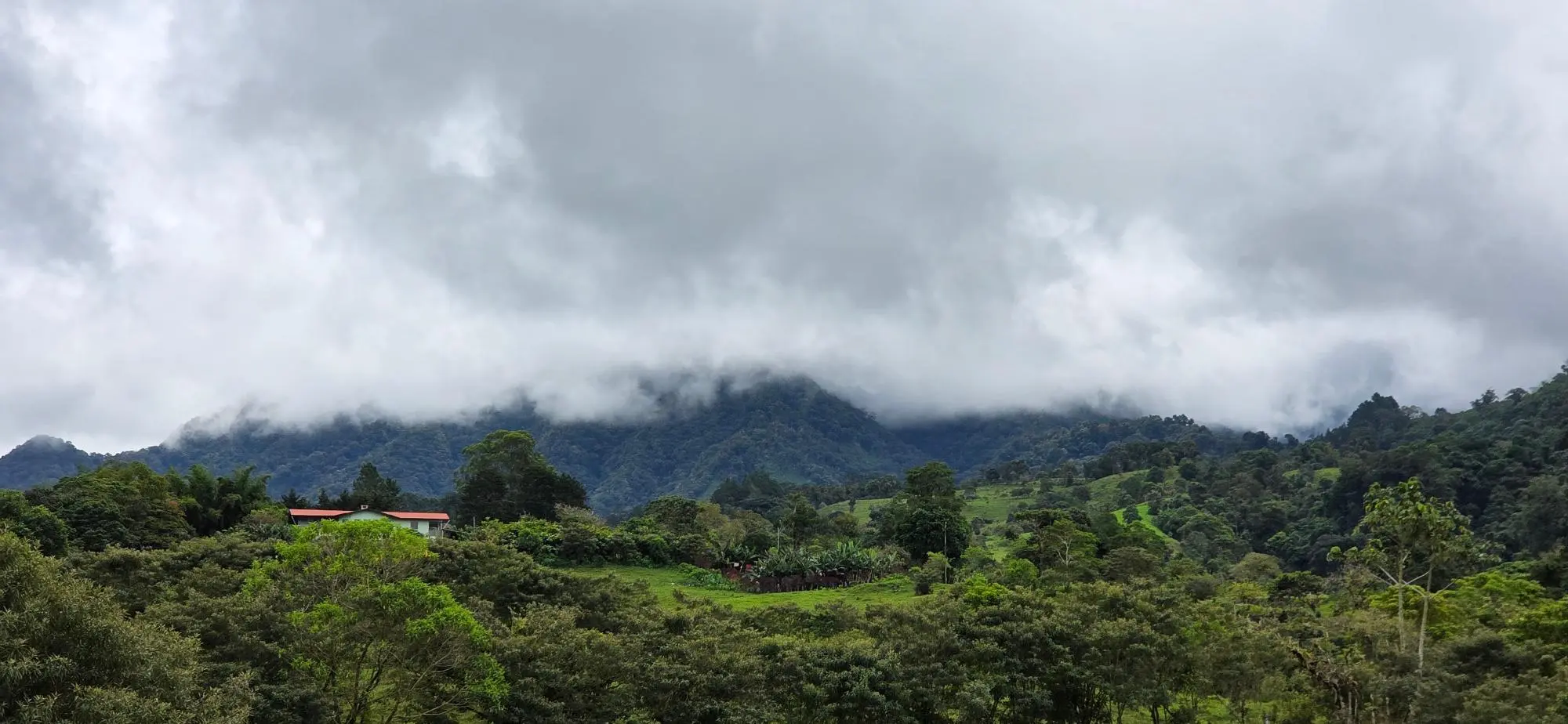 Boqueròn, Cordillera Arriba - Photo 15