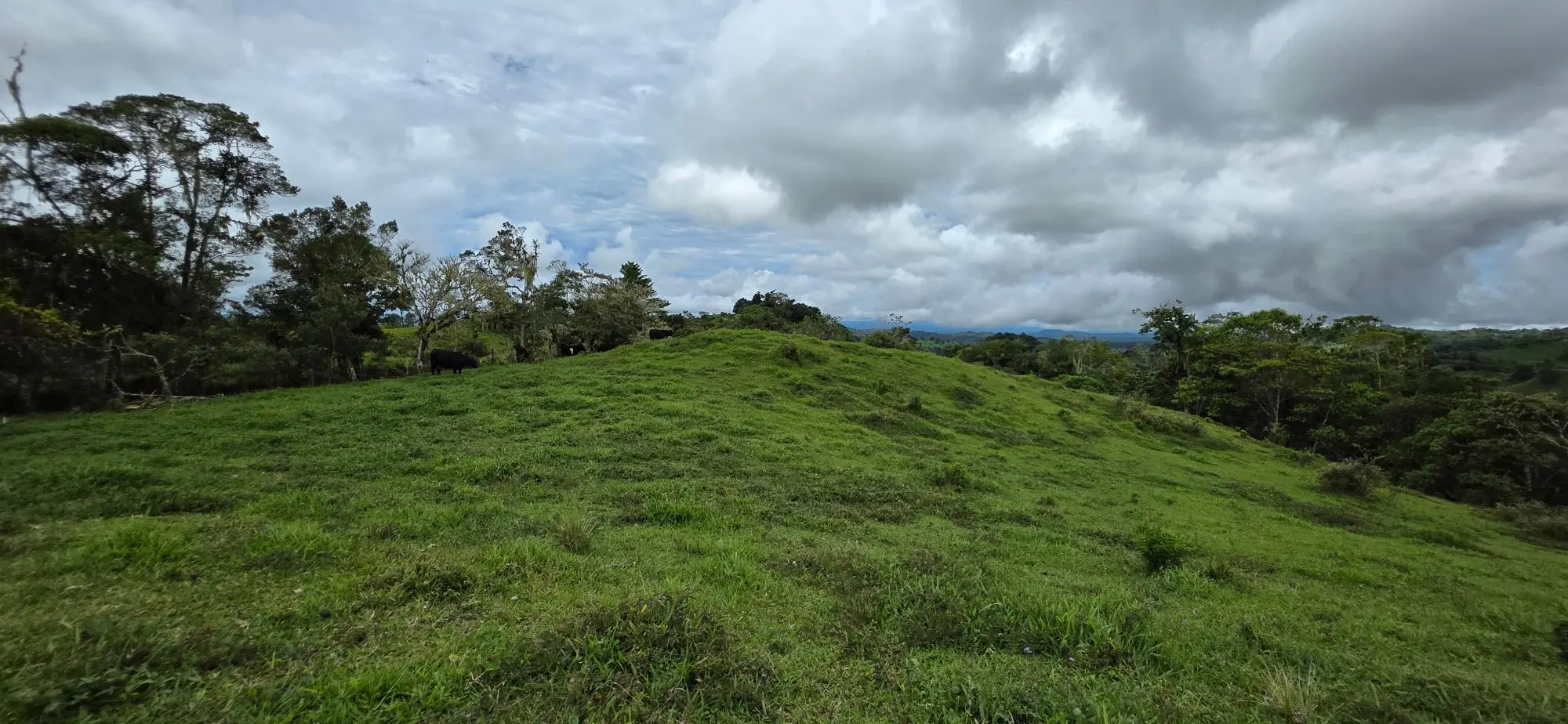 Boqueròn, Cordillera Arriba - Photo 36