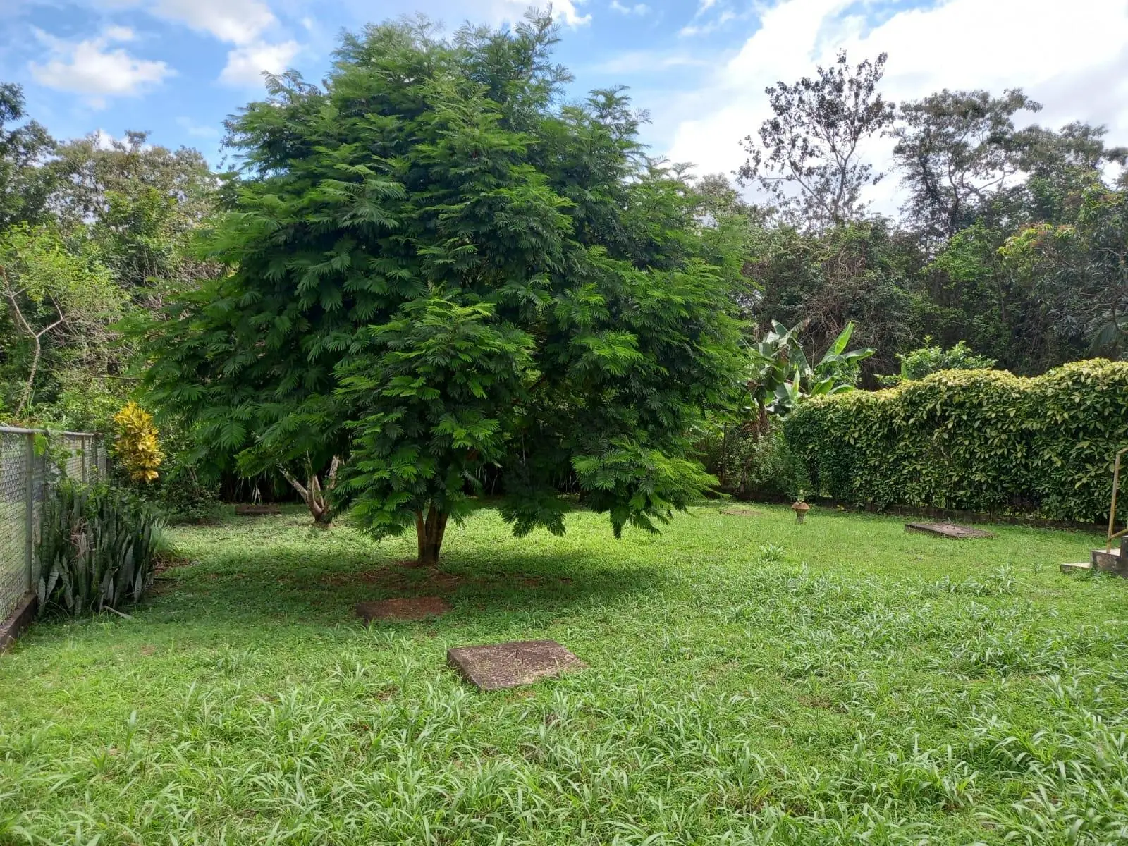 San Pablo Viejo, El Robledal - Photo 3