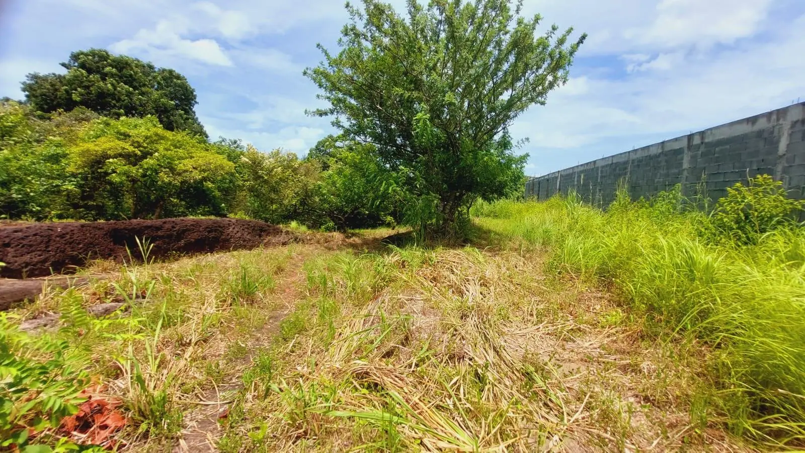 Calle Sn, Detrás Coronado Center #lote - Photo 95