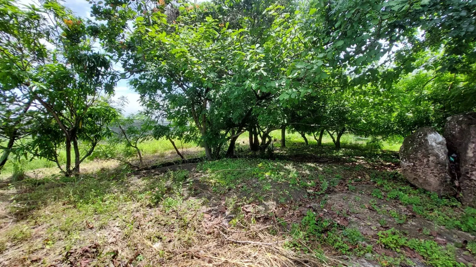 Calle Sn, Detrás Coronado Center #lote - Photo 23