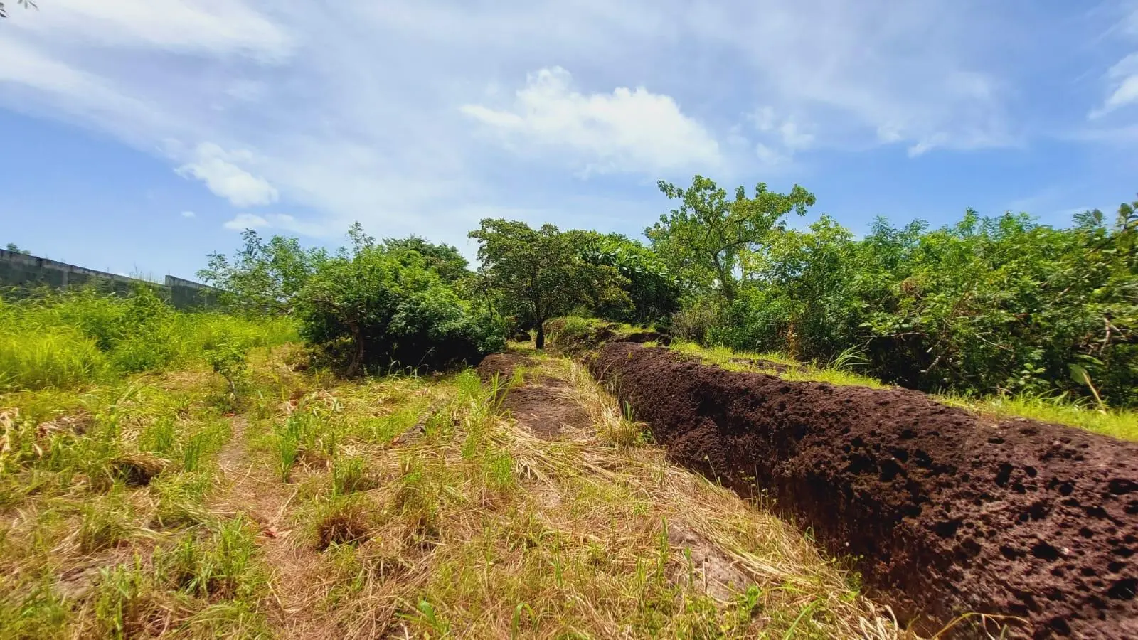 Calle Sn, Detrás Coronado Center #lote - Photo 89