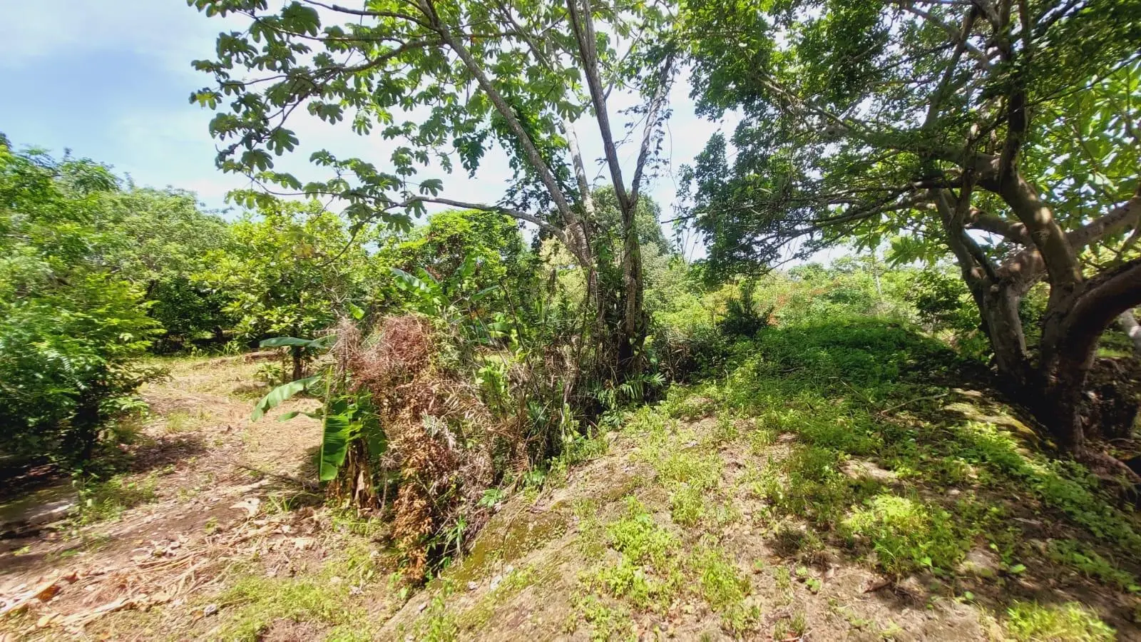 Calle Sn, Detrás Coronado Center #lote - Photo 34