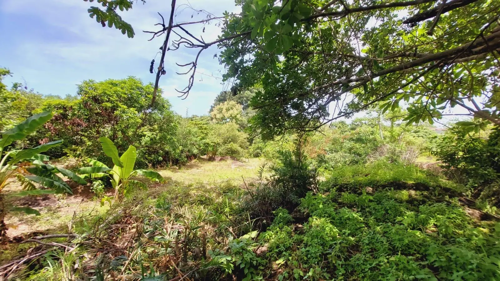 Calle Sn, Detrás Coronado Center #lote - Photo 60