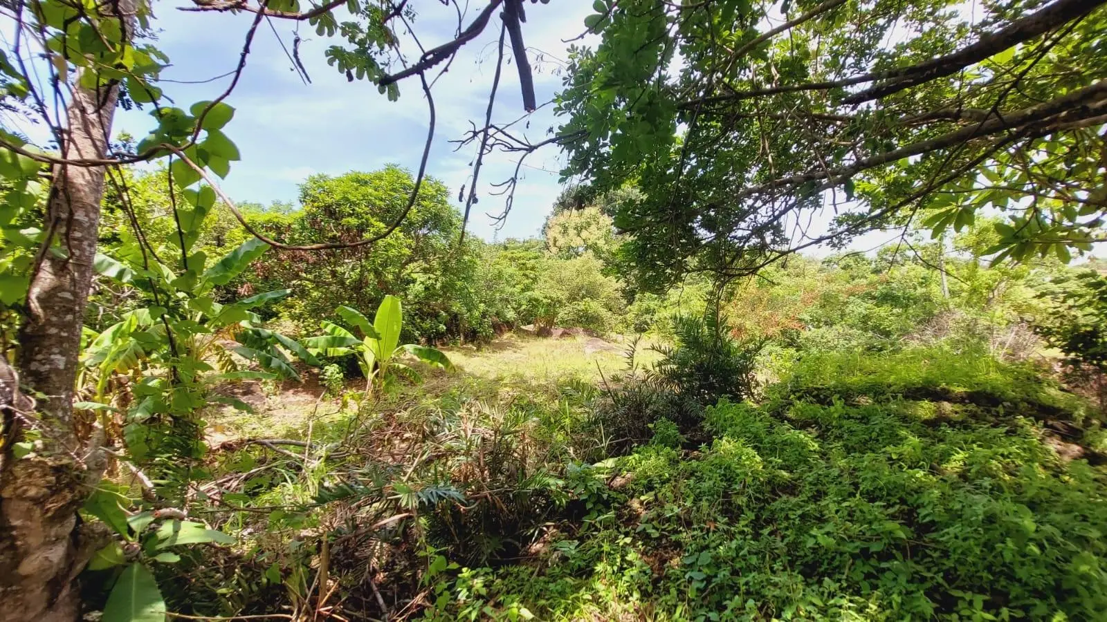 Calle Sn, Detrás Coronado Center #lote - Photo 52