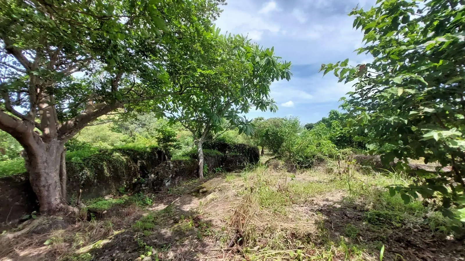 Calle Sn, Detrás Coronado Center #lote - Photo 10