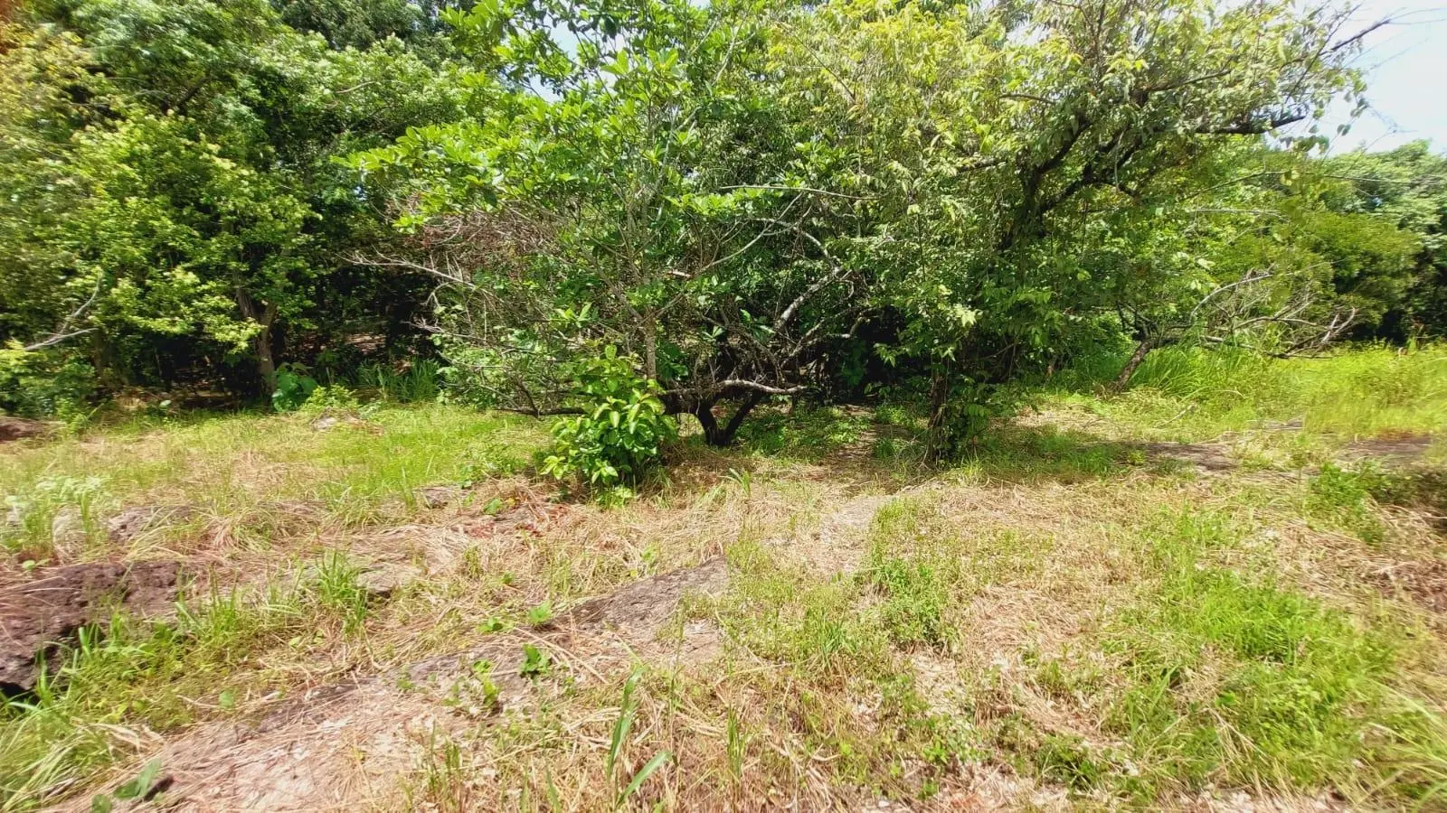 Calle Sn, Detrás Coronado Center #lote - Photo 75