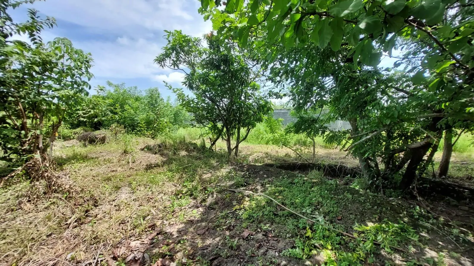 Calle Sn, Detrás Coronado Center #lote - Photo 16