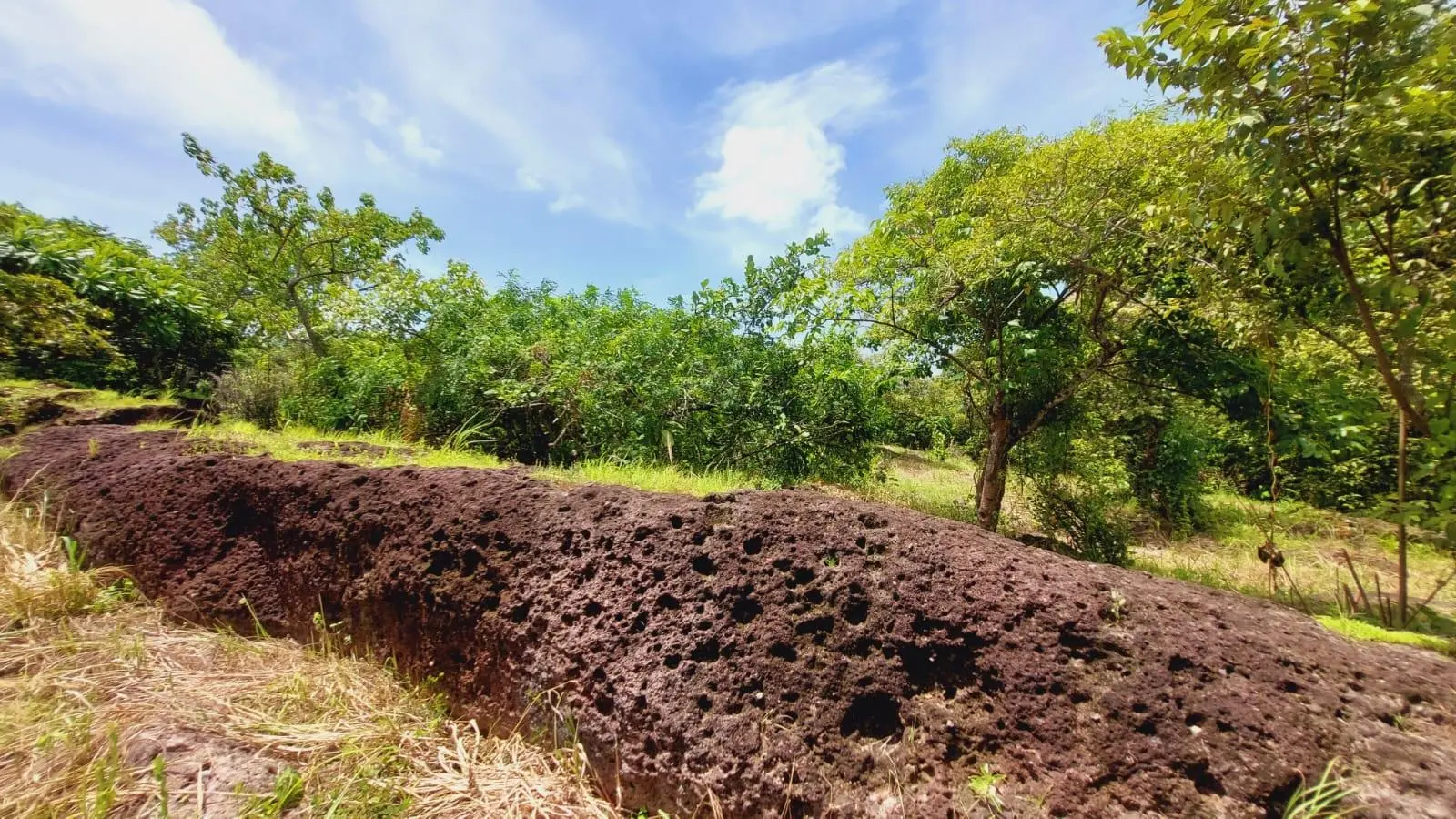 Calle Sn, Detrás Coronado Center #lote - Photo 71