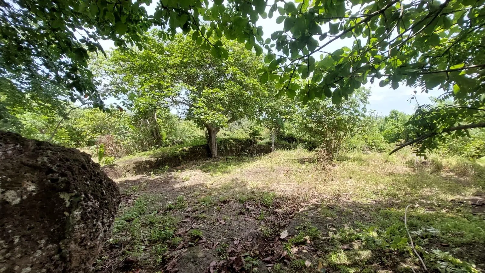 Calle Sn, Detrás Coronado Center #lote - Photo 13