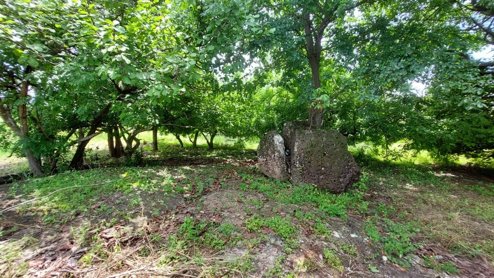 Calle Sn, Detrás Coronado Center #lote - Photo 28