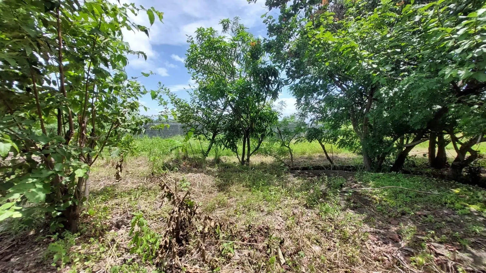 Calle Sn, Detrás Coronado Center #lote - Photo 19