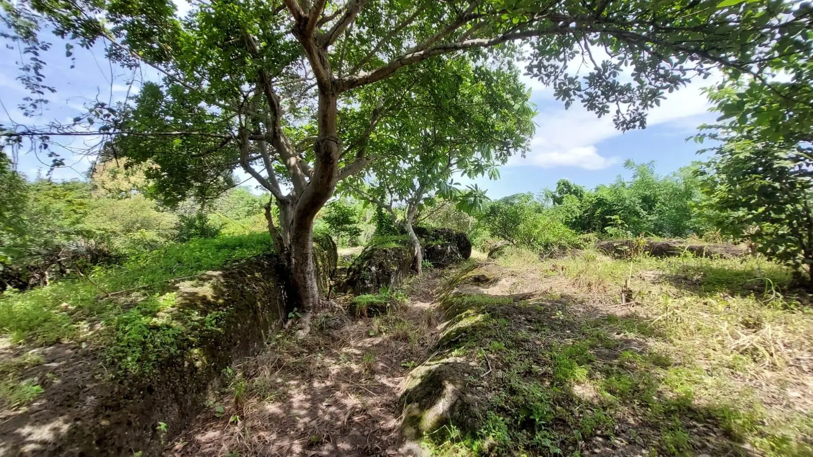 Calle Sn, Detrás Coronado Center #lote - Photo 31